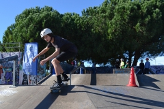 Stage Skate Grammont Oct17-11